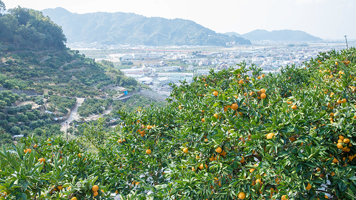 生産・1次産業について