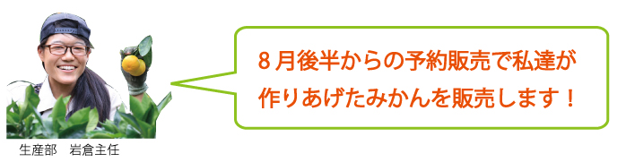 有田みかん販売します