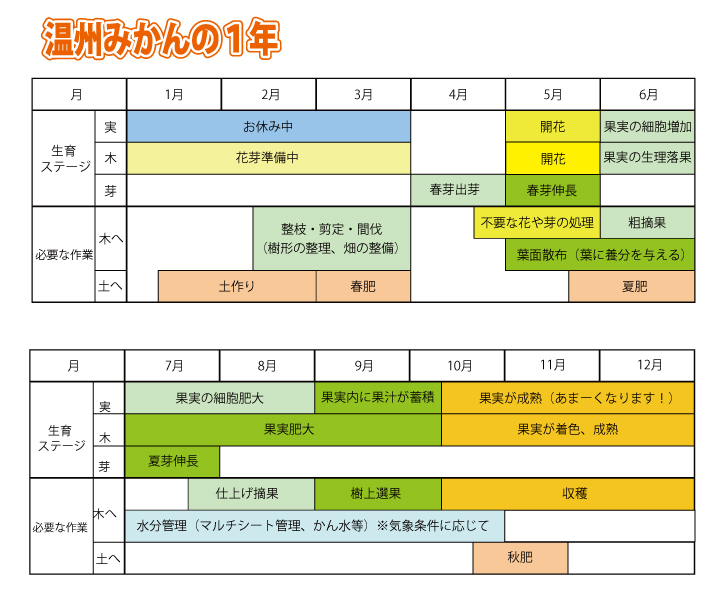 みかん栽培スケジュール