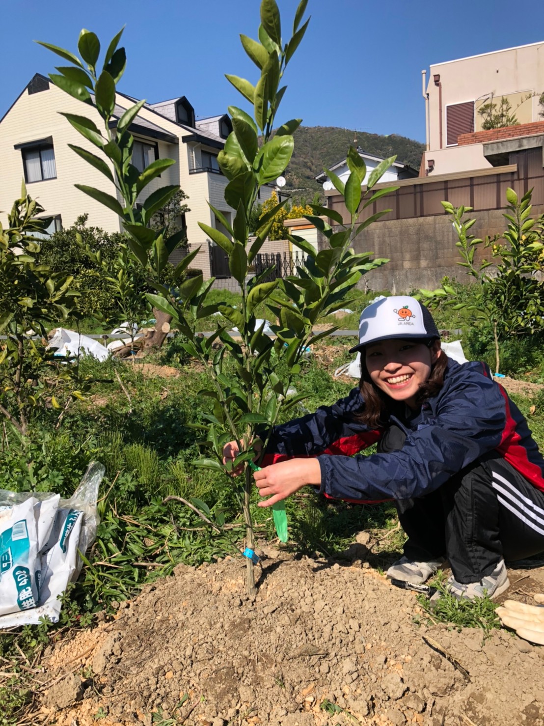 みかんの樹、植え終わりました！！