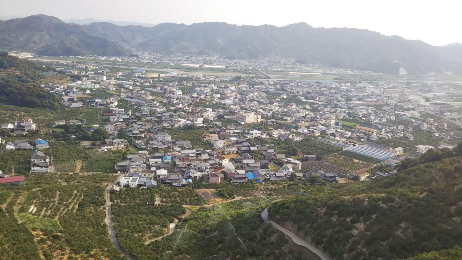 山から見る有田市の様子