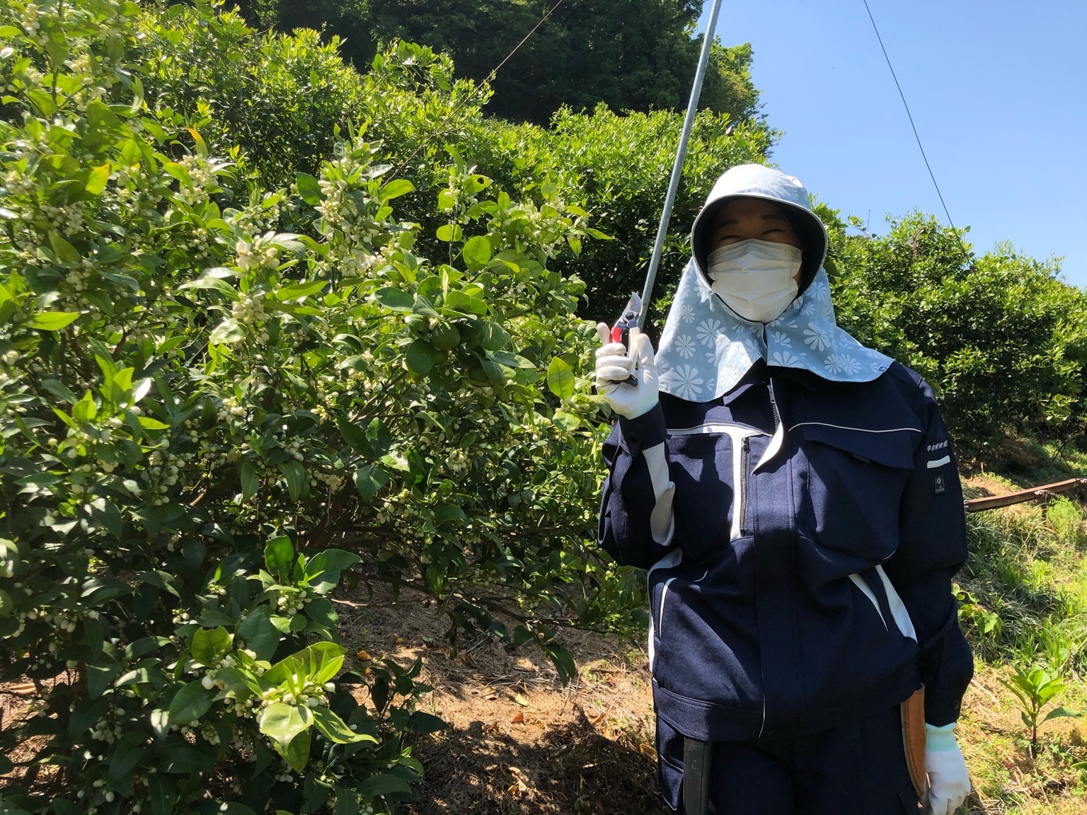 剪定バサミを持った増田さん。
初めての剪定楽しみですね！