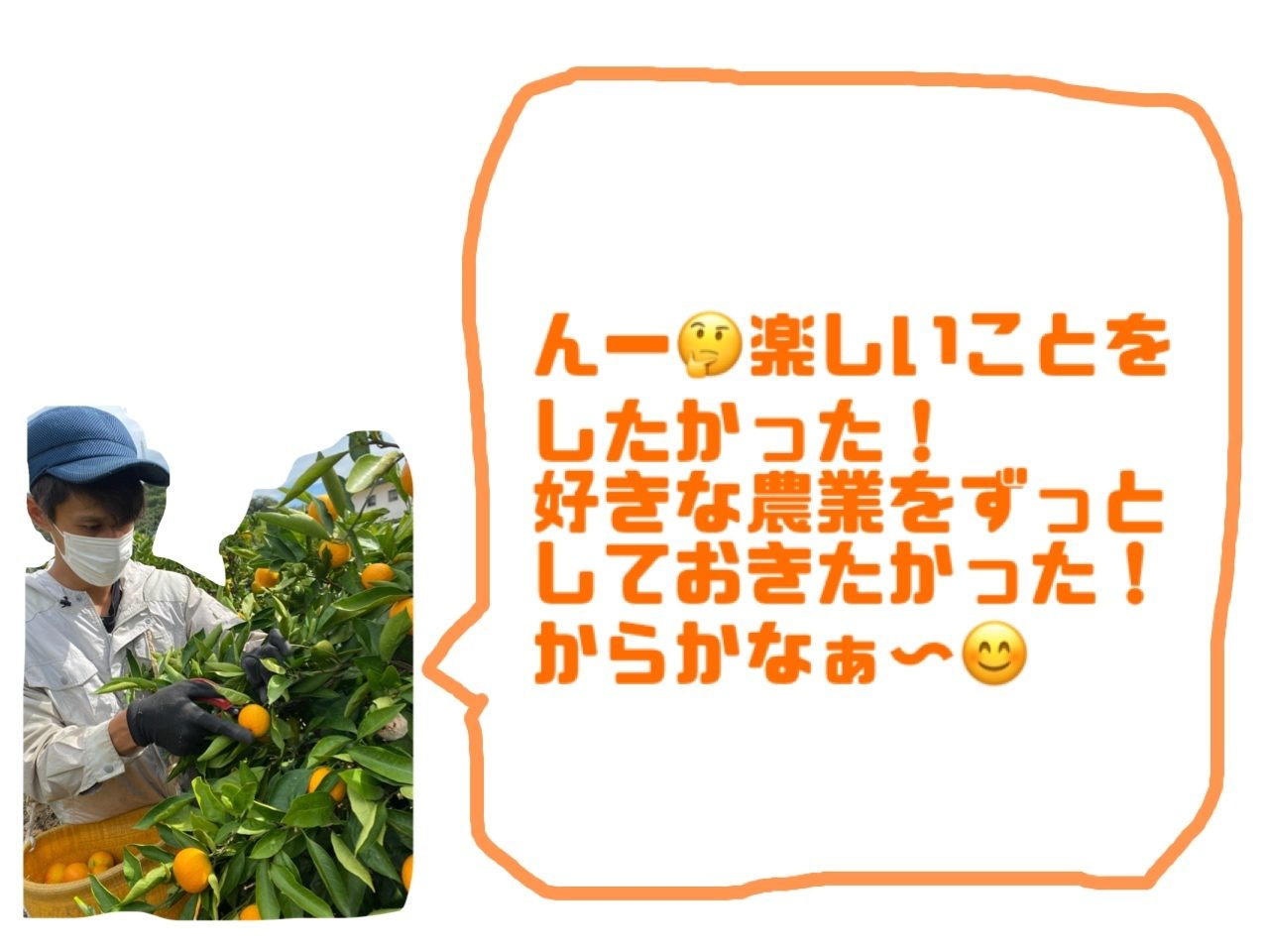 ゆら早生を収穫中の橘君が、
「んー、楽しいことをしたかった！好きな農業をずっとしておきたかった！からかな～」とコメントしています。