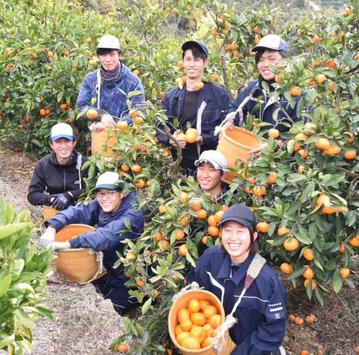 生産部の皆さん