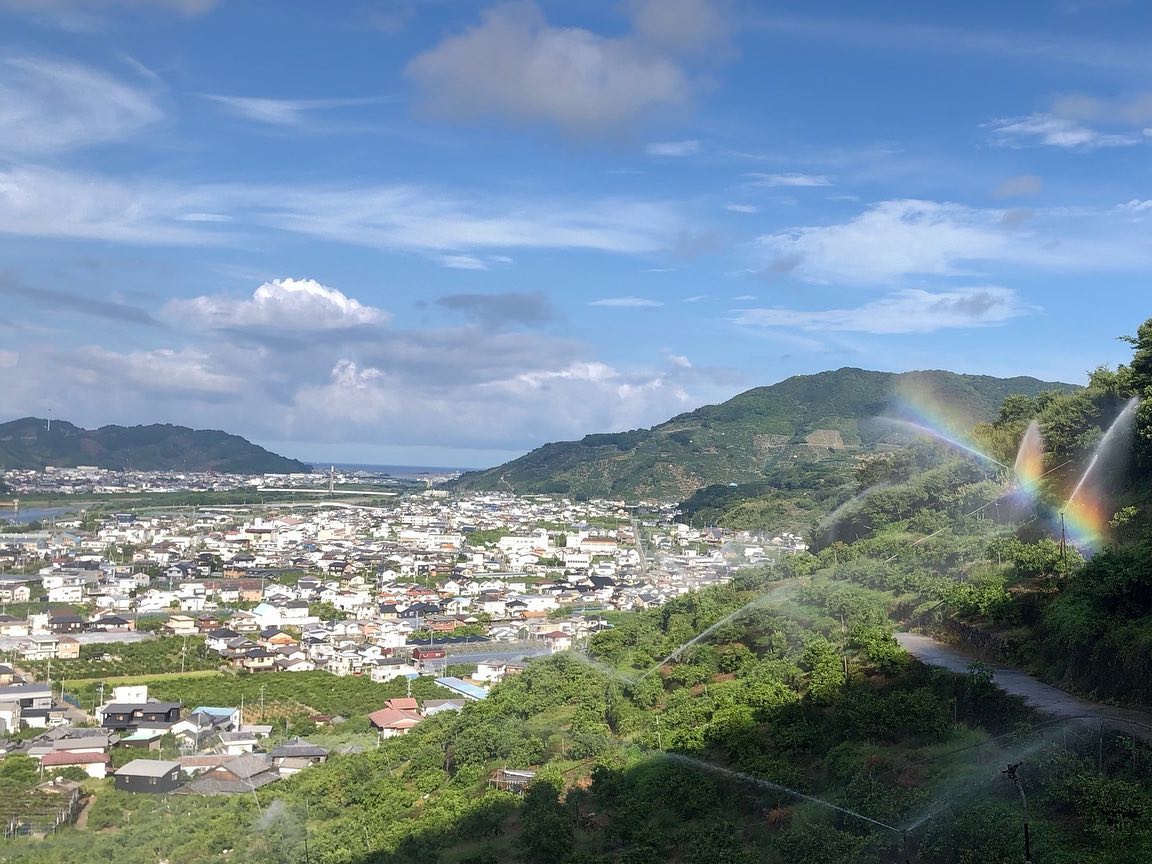 灌水中に虹が出ている様子