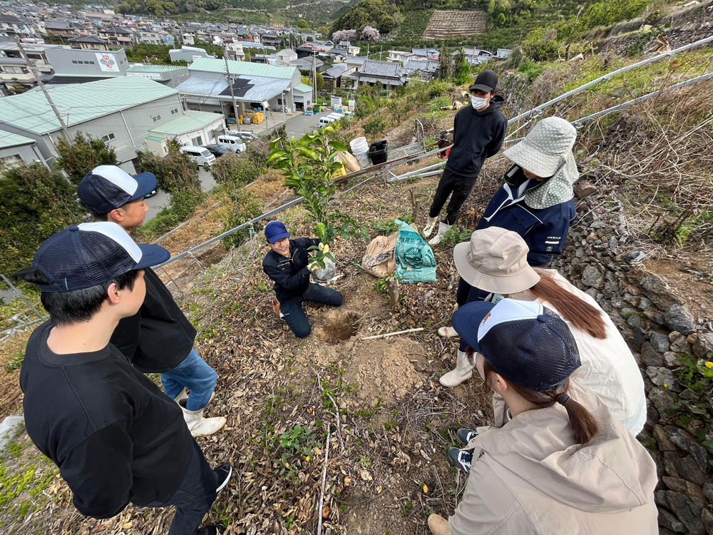 岩倉課長より定植のレクチャー